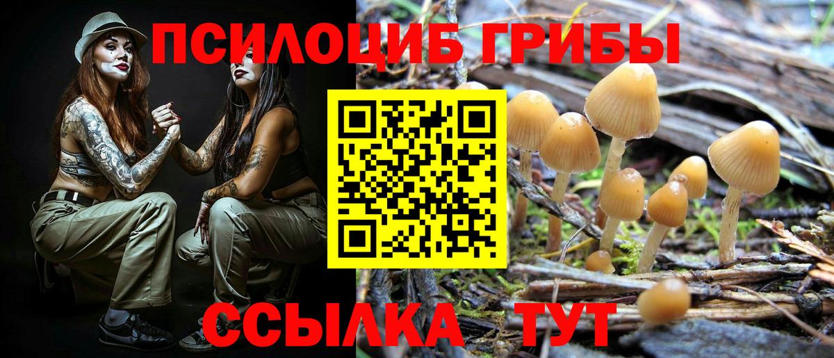 Галлюциногенные грибы MAGIC MUSHROOMS Канаш