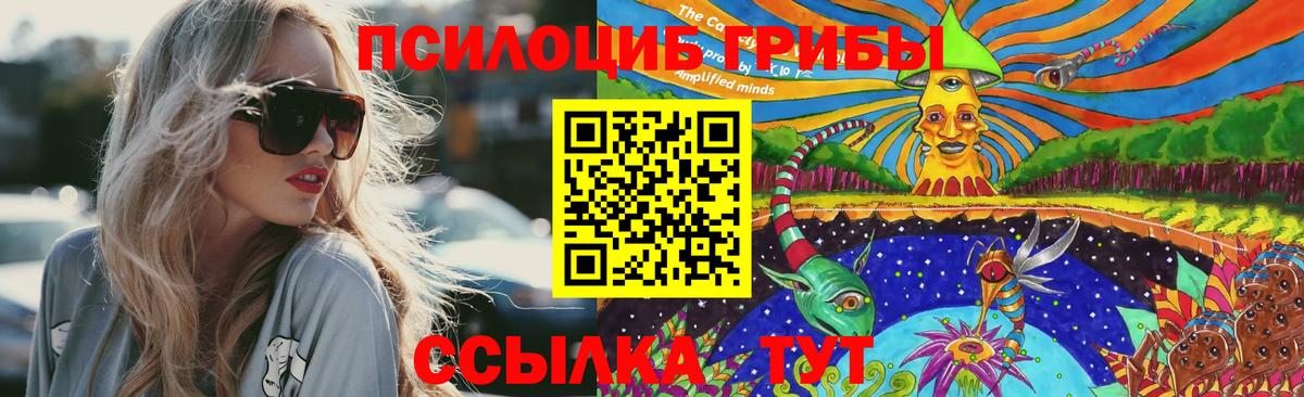 Псилоцибиновые грибы мицелий  Галлюциногенные грибы GOLDEN TEACHER  Канаш  наркота  Вход с VPN 